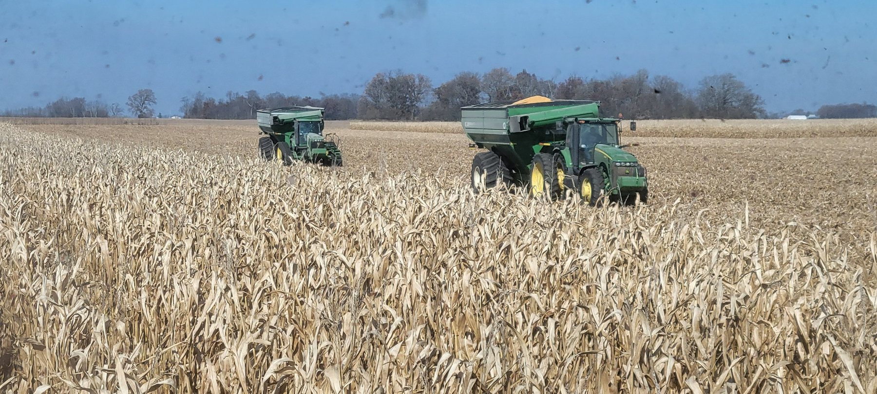 Two tractors and grain carts working in standing corn