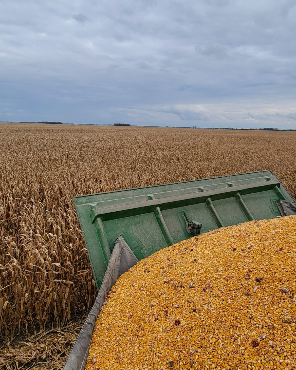 Corn grain tank during Ohio harvest