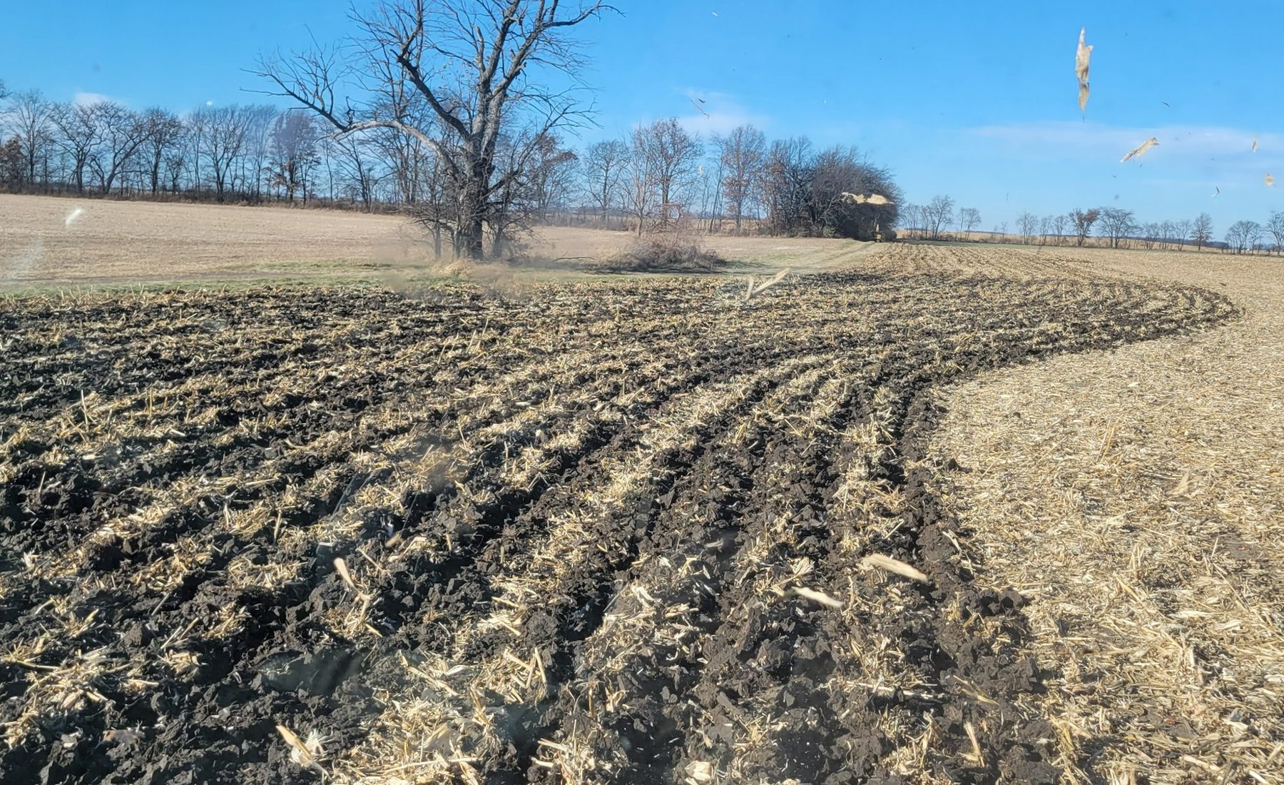 Ohio field residue and soil after harvest