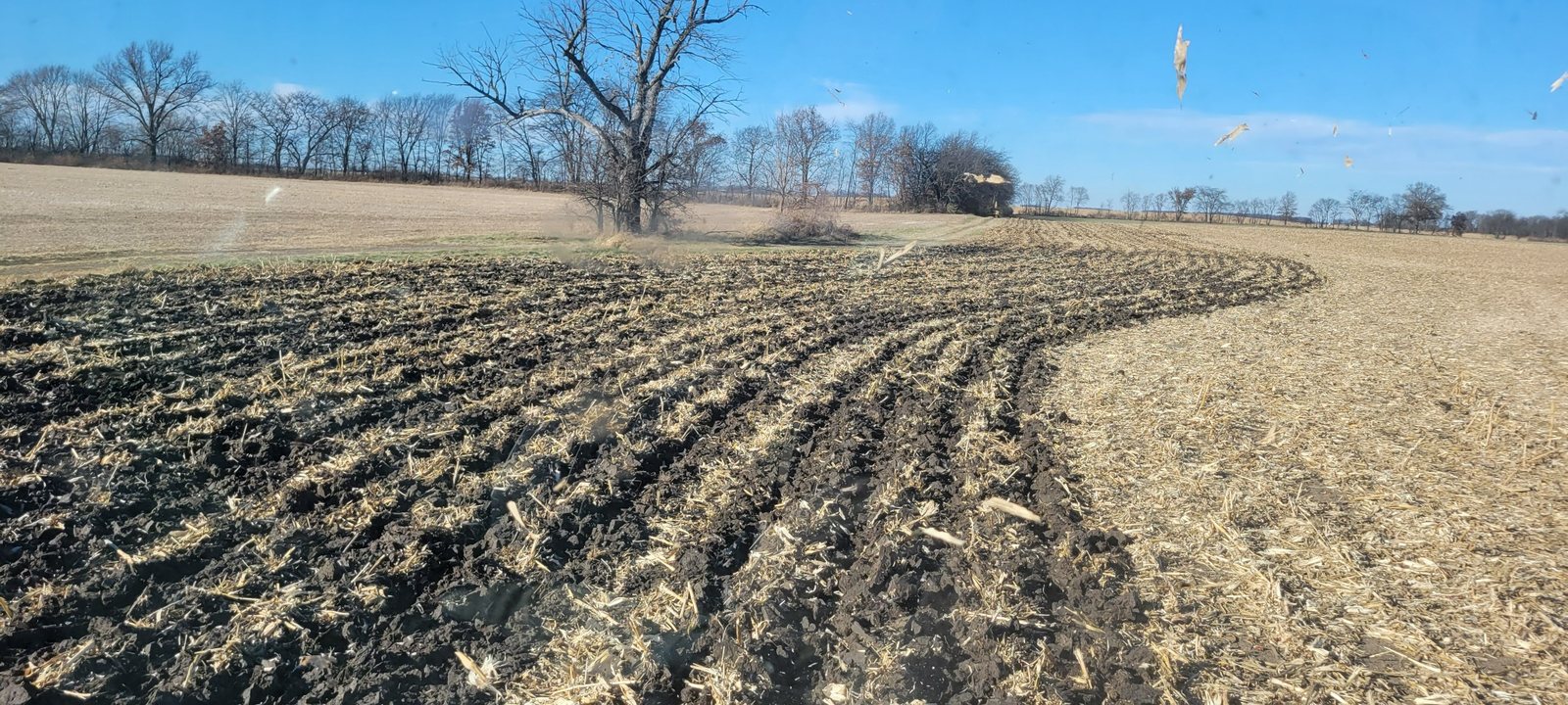 Ohio field showing soil and residue conditions after harvest