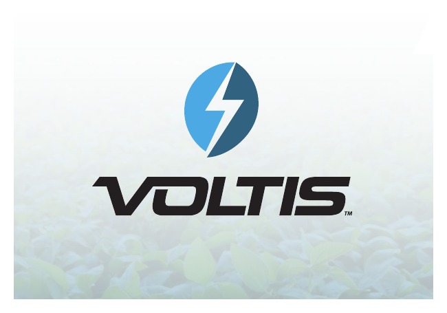 Voltis soybean seed