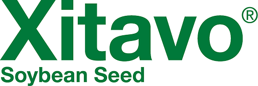 Xitavo Soybean Seed