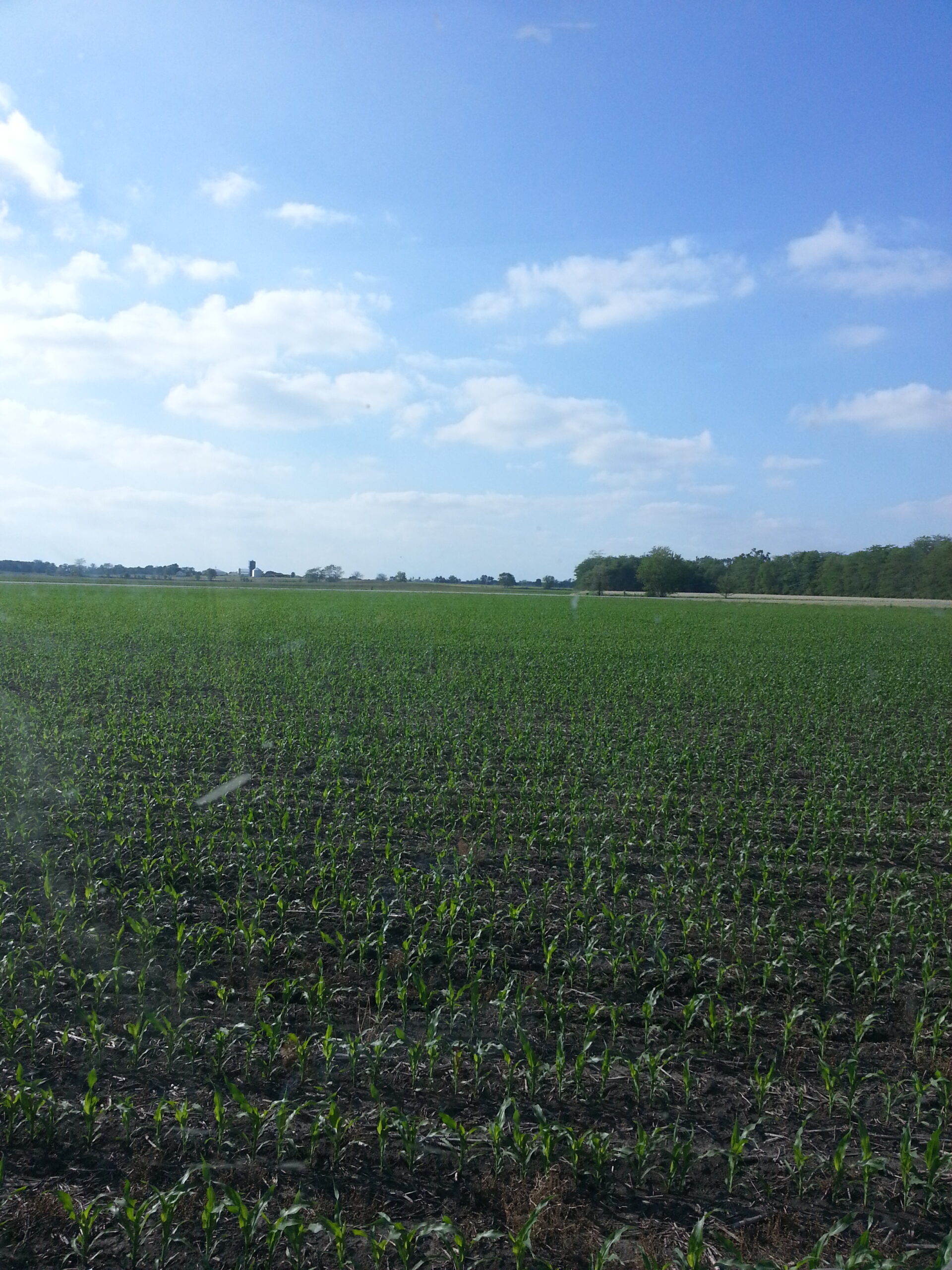 sulfur fertilizer