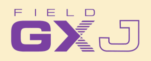 Field GX J Font Transp