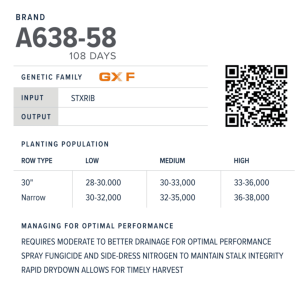 A638 58 Qr