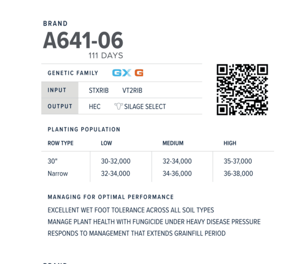 A641 06