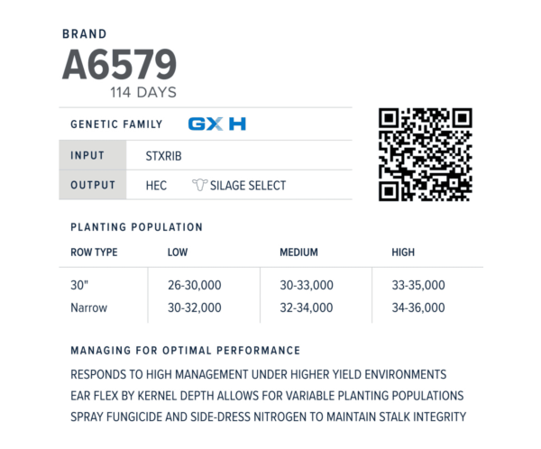 A6579 Qr