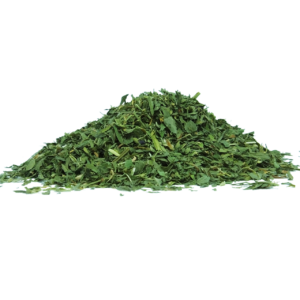 Alfalfa