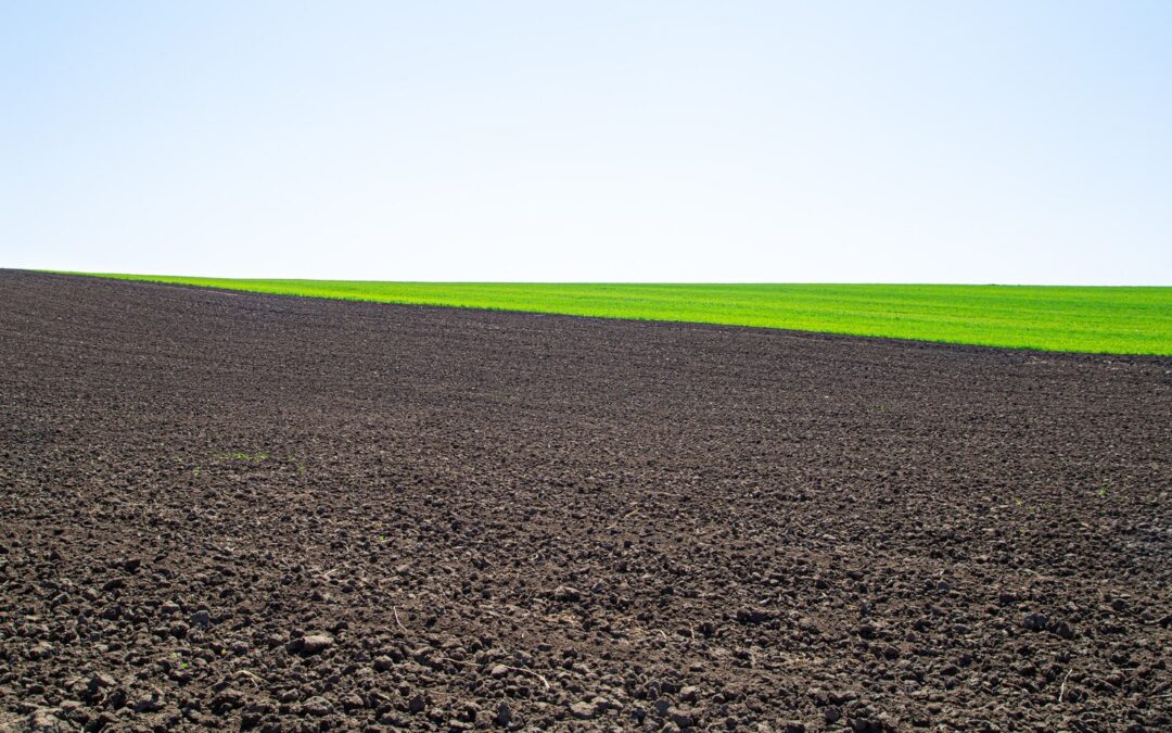 Humic and Fulvic Acids in Soil