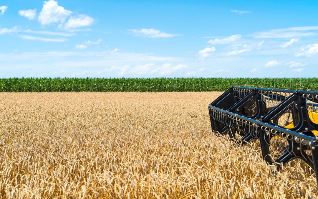 What Are Humic Acids?