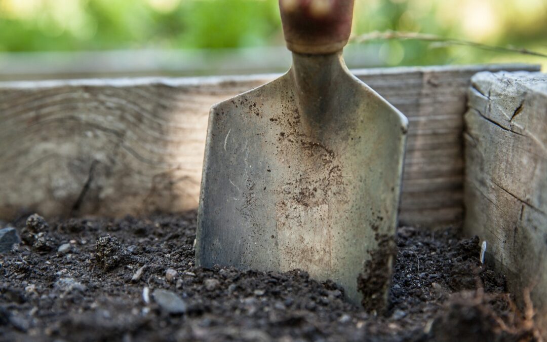 How can Urea Phosphite Act as a Stress Mitigator in Plants?