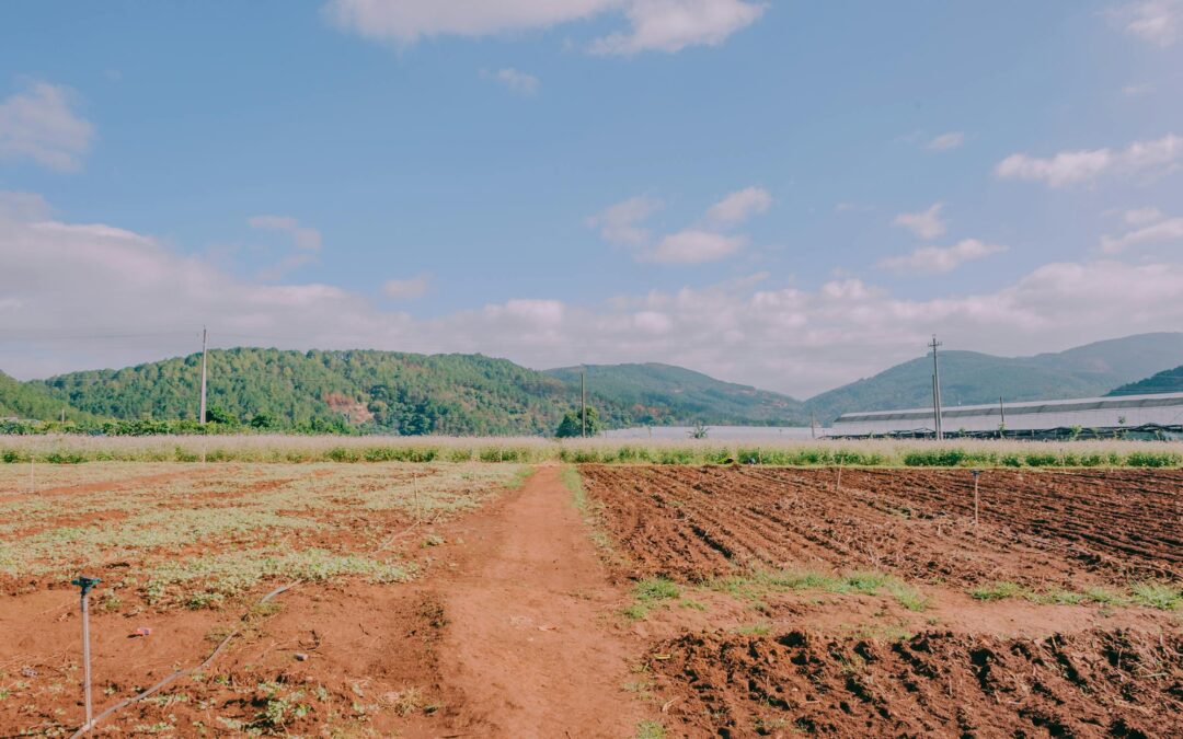 soil