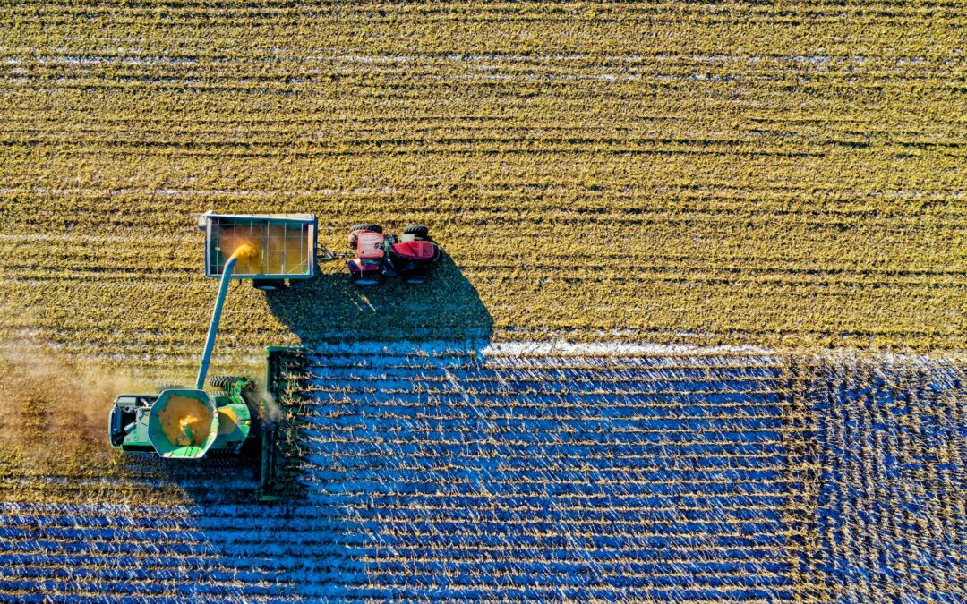 The Difference Between Organic vs Inorganic Phosphorus