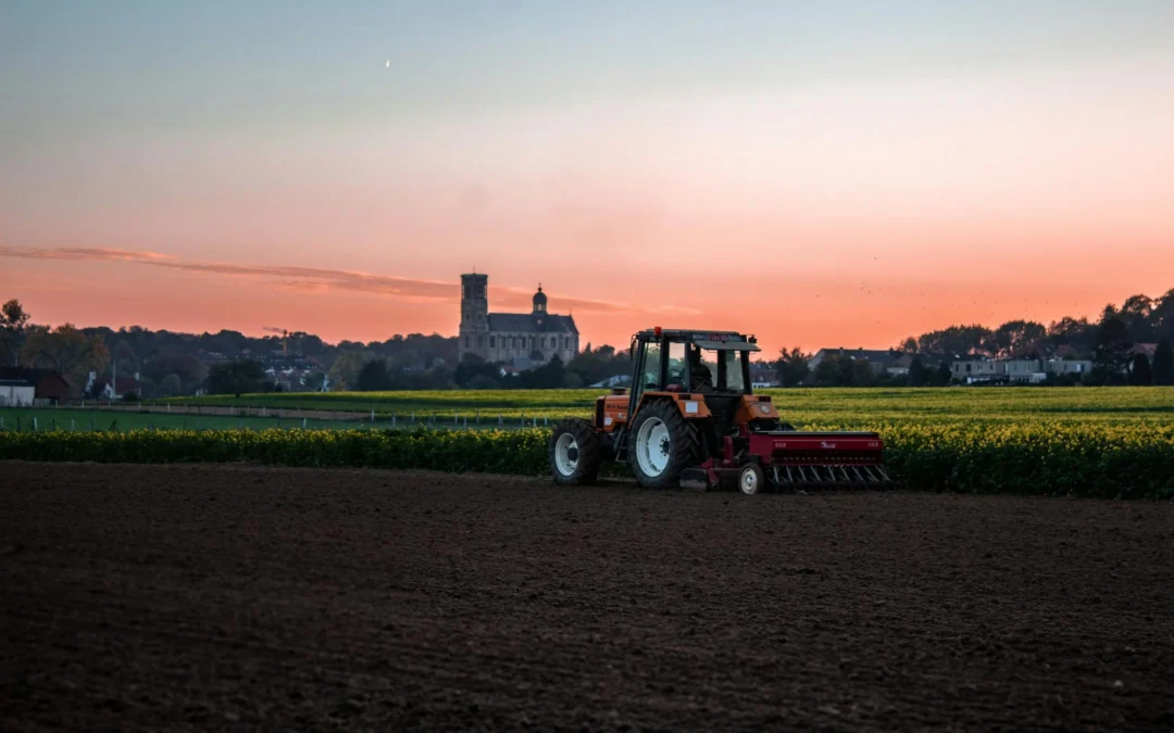 BRANDT Super 7- Adjuvant
