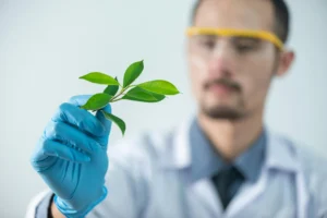 Soil test