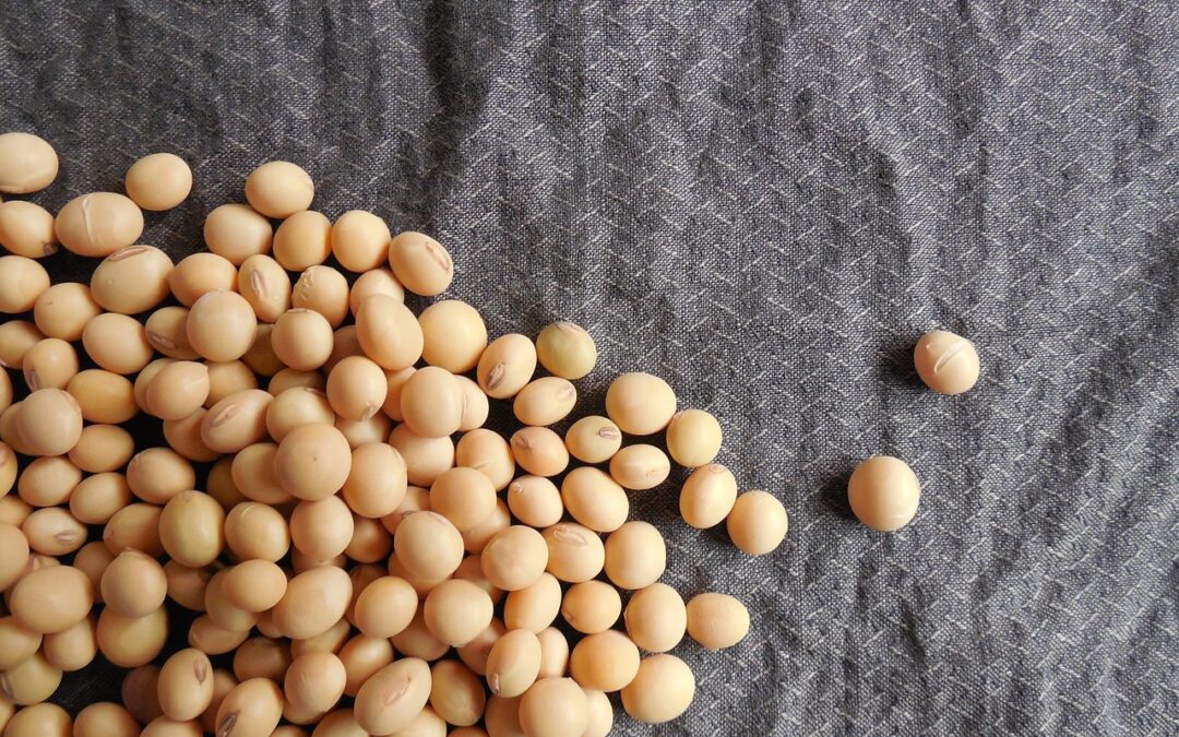 The Role of Nitrogen in Soybeans