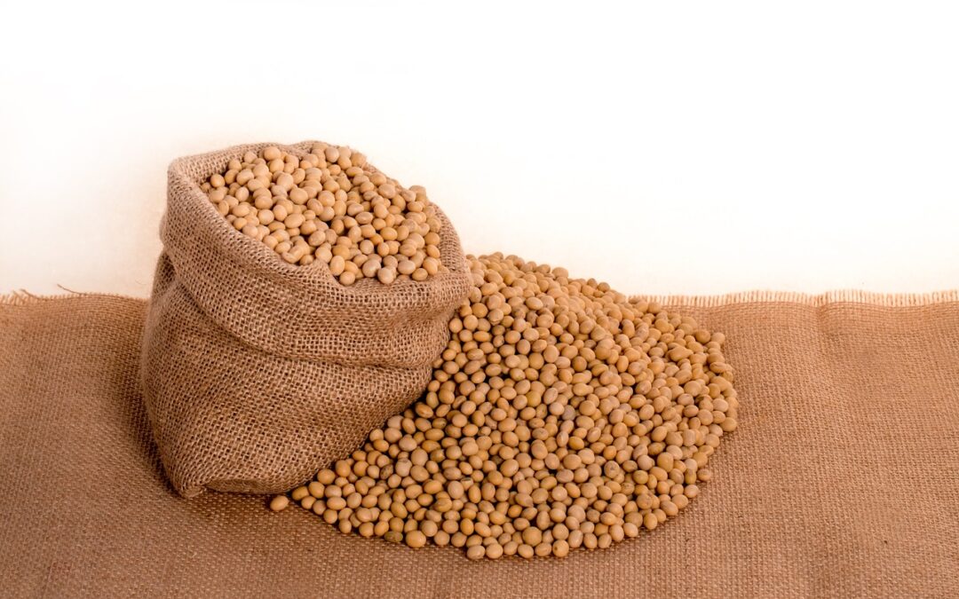 What is the Role Phosphorous Plays in the Soybean Plant?